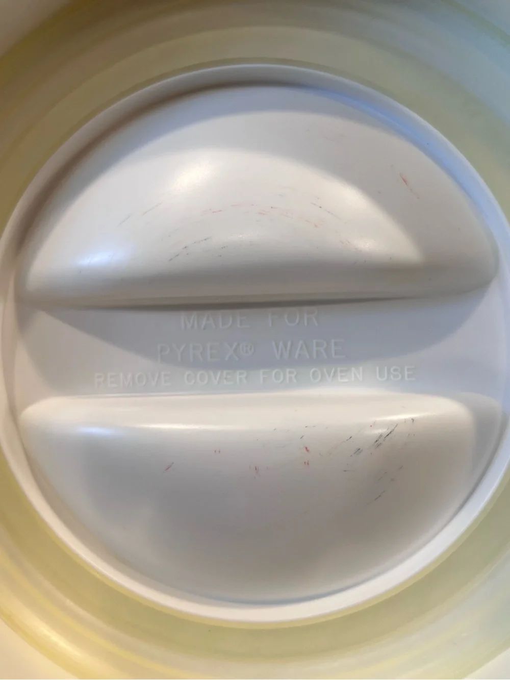 Vintage Pyrex Spice of Life Glass Store N See Canister